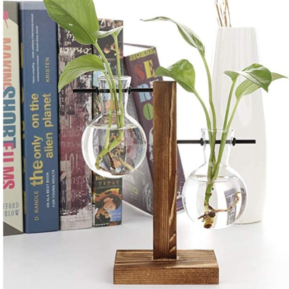 Other - Desktop Glass Planter 2 Tier Bulb Vase